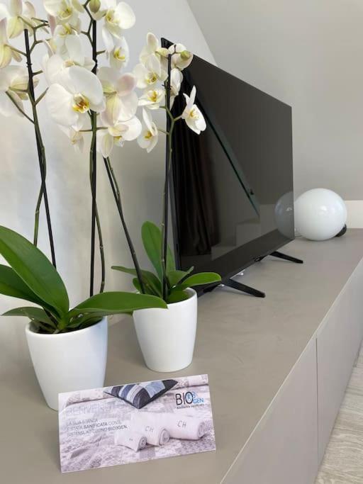 Queen Verona Luxury Apartment Екстер'єр фото